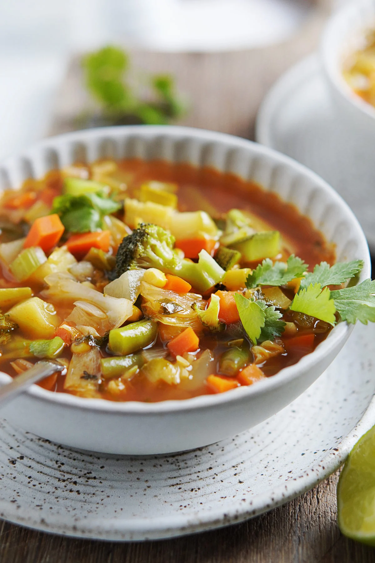 Sopa de Vegetales